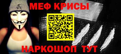 спайс Кингисепп