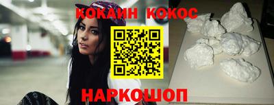 спайс Кингисепп