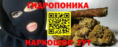 крисы Кинель