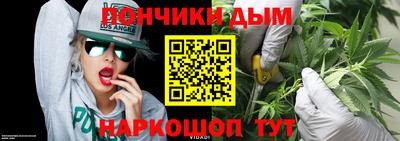 крисы Кинель