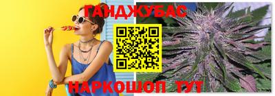 спайс Кингисепп