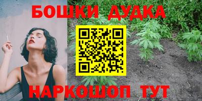 крисы Кинель